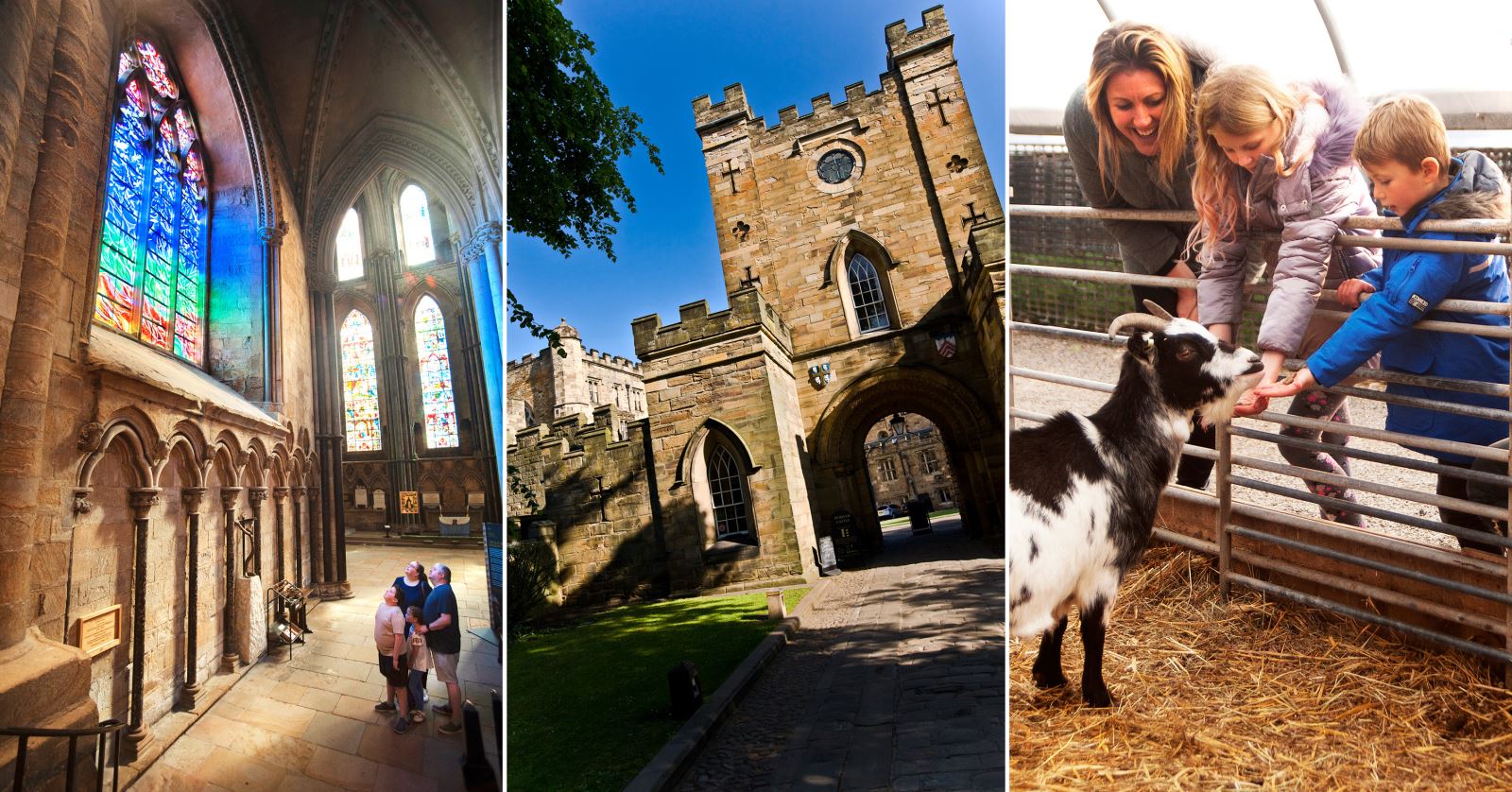 left to right - family looking at stained glass window inside Durham Cathedral, exterior or Durham Castle and family feed goat at Hall Hill Farm